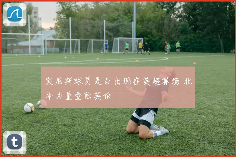 突尼斯球员是否出现在英超赛场 北非力量登陆英伦