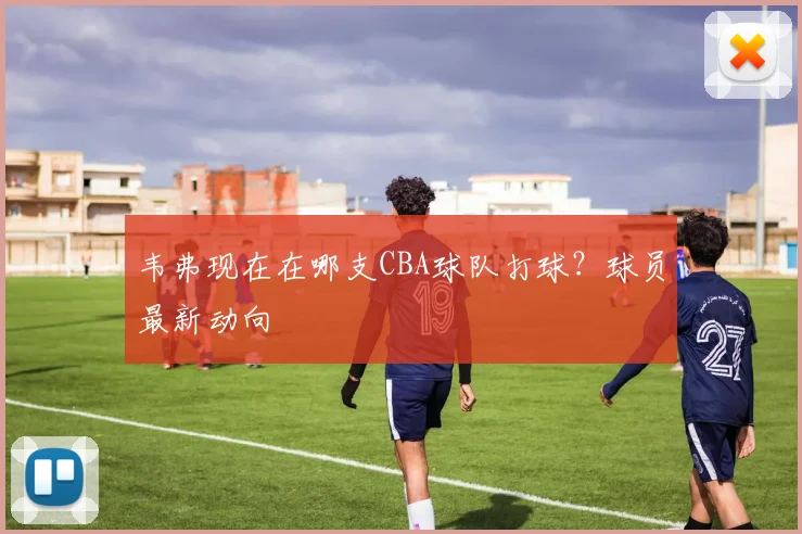 韦弗现在在哪支CBA球队打球？球员最新动向