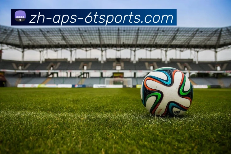 6T体育平台生态图