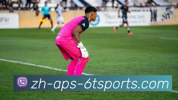 6T体育APP 封面图